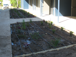 Gallery-Garden-Plants-Irrigation