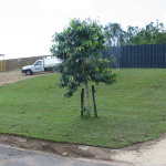 Front Lawn - Townsville Buffalo Grass