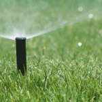 Irrigation Lawn Sprinkler Townsville