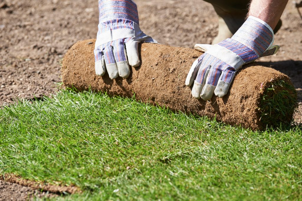 Close Up Of Landscape Gardener Laying Turf For New Lawn