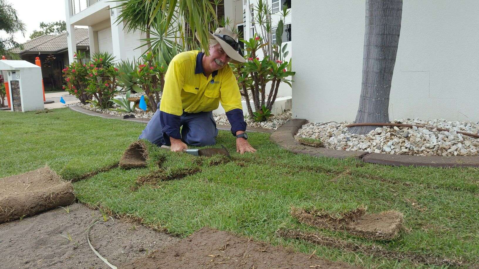 New grass clearance care