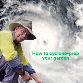 Be Cyclone Kirrily ready